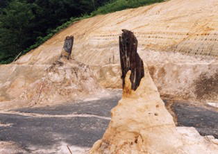 発見当時の様子